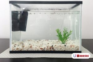 Apa Kegunaan Bio Foam atau Sponge Air Filter Aquarium